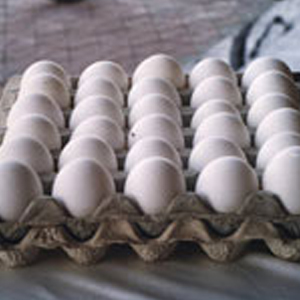 �r(n��ng)�I(y��)�a(ch��n)Ʒ���b�S��